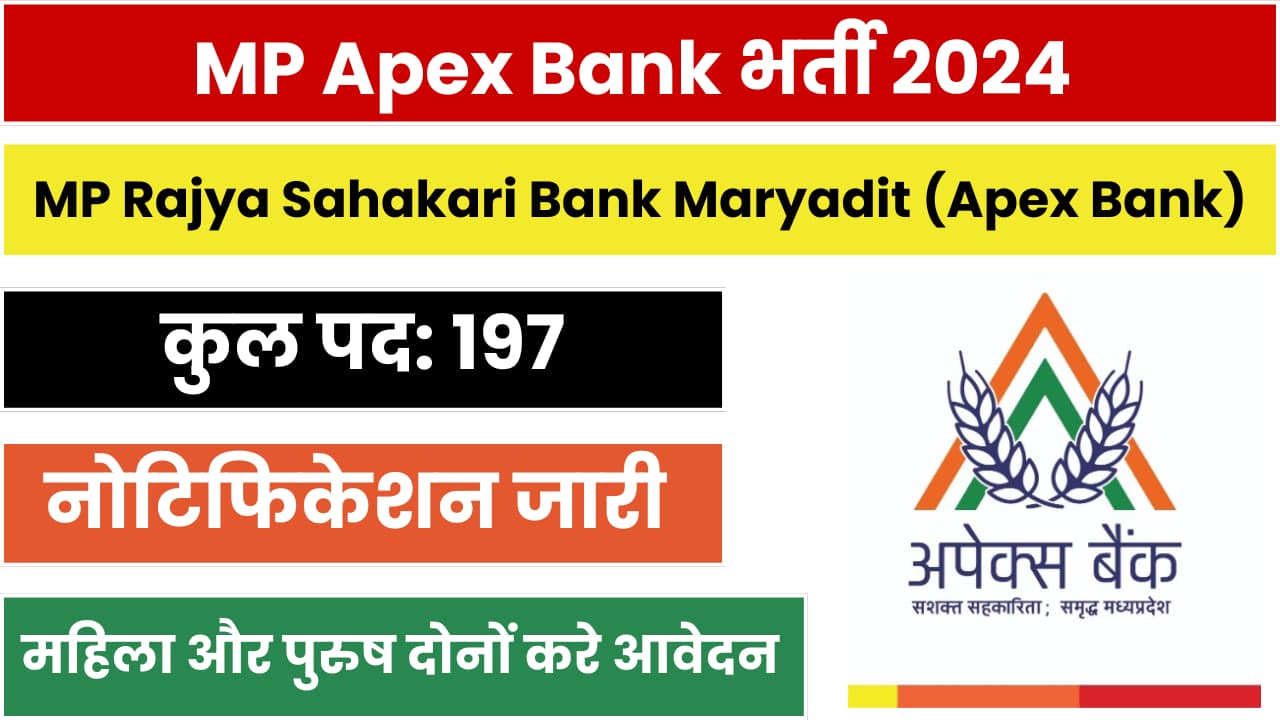 MP Apex Bank Recruitment 2024